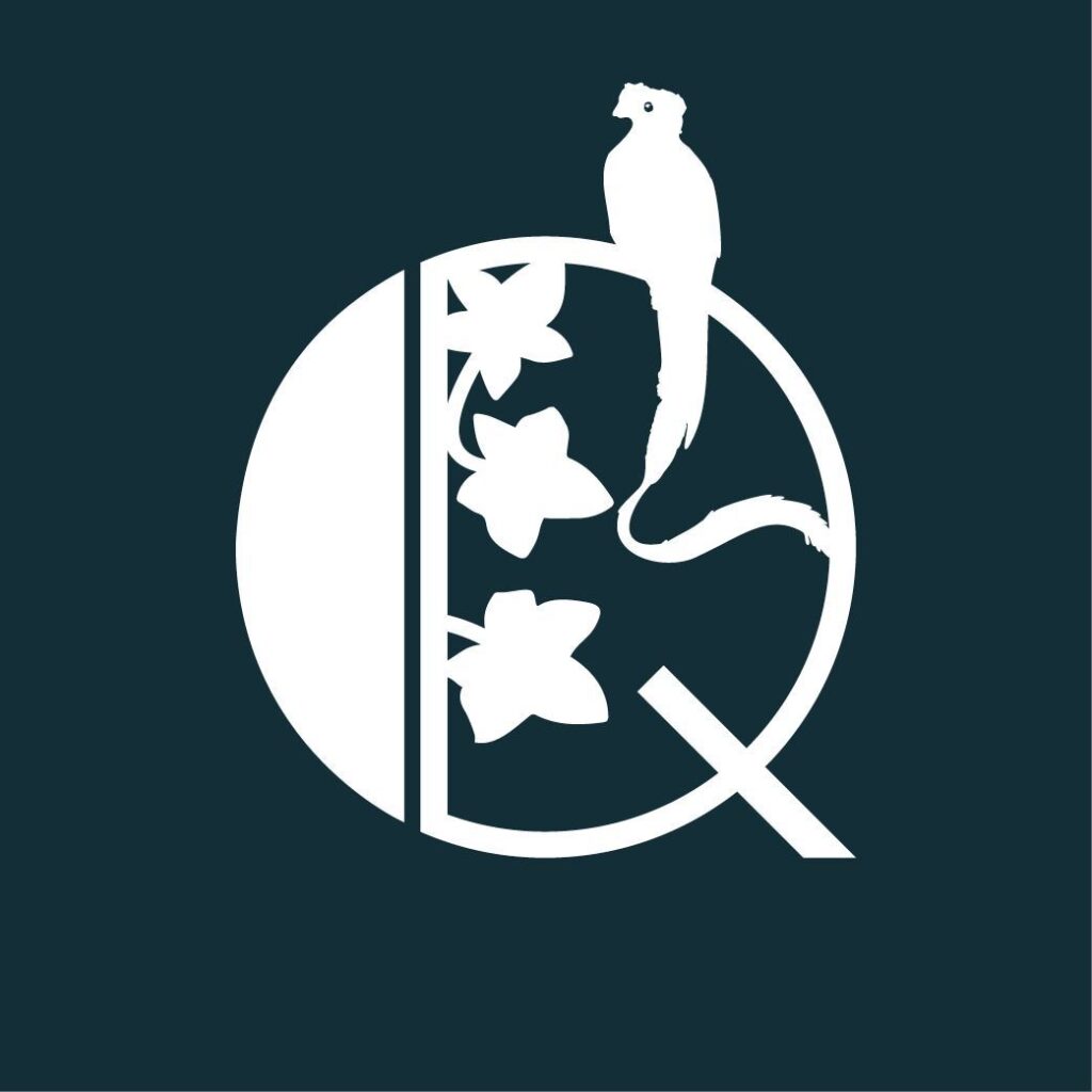 Quetzal – Quetzal
