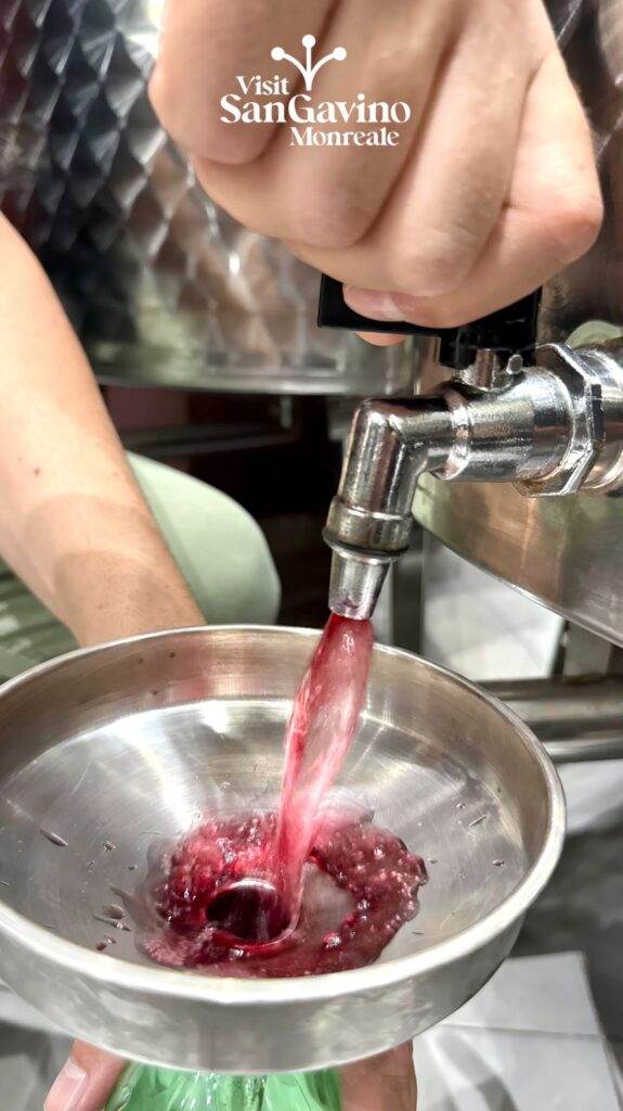 Bingia enoteca – Bingia enoteca