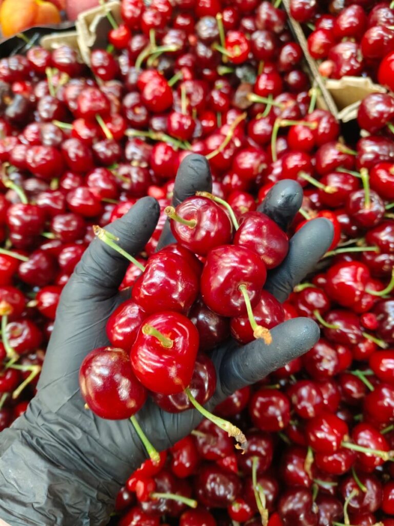 Supermercati Olivo – Supermercati Olivo